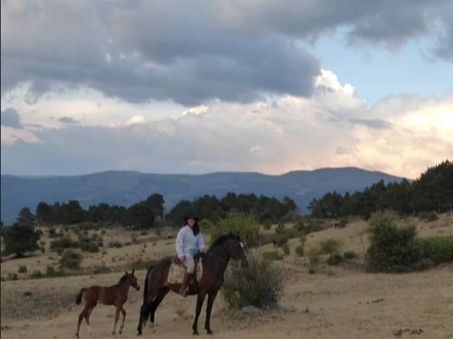 Excursion con el caballo y un potrillo